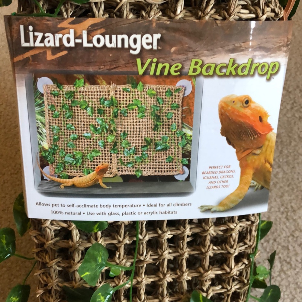 Lizard Lounger Vine Backdrop
